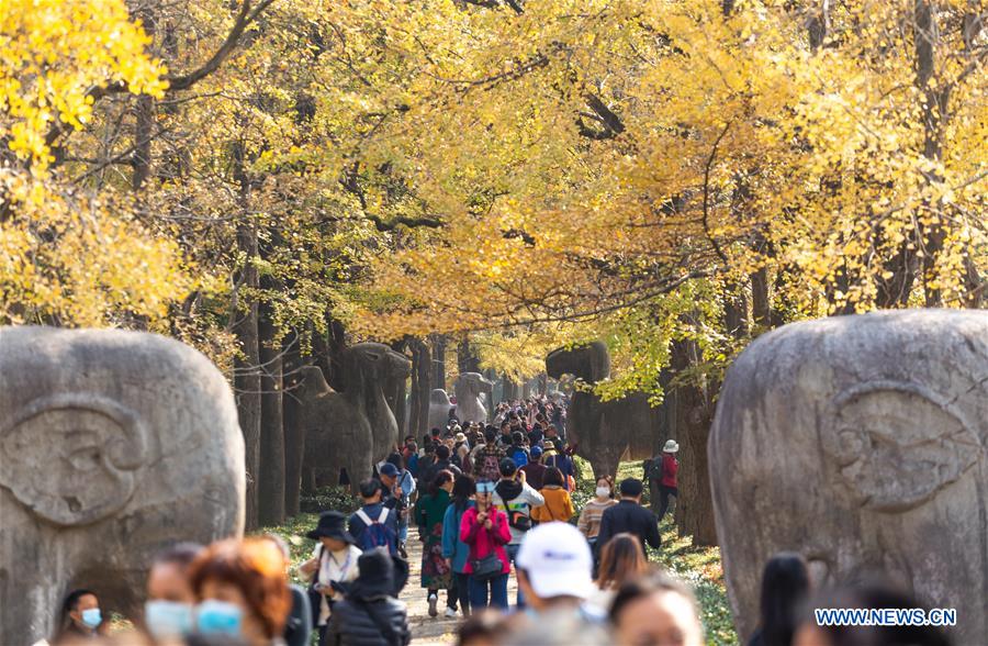 #CHINA-JIANGSU-NANJING-AUTUMN SCENERY (CN)