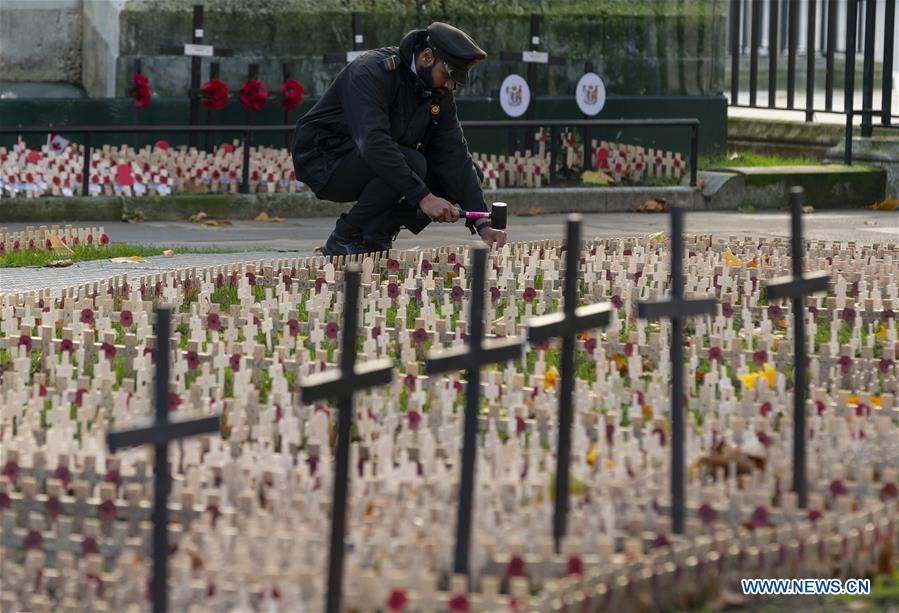 BRITAIN-LONDON-ARMISTICE DAY-POPPIES AND CROSSES