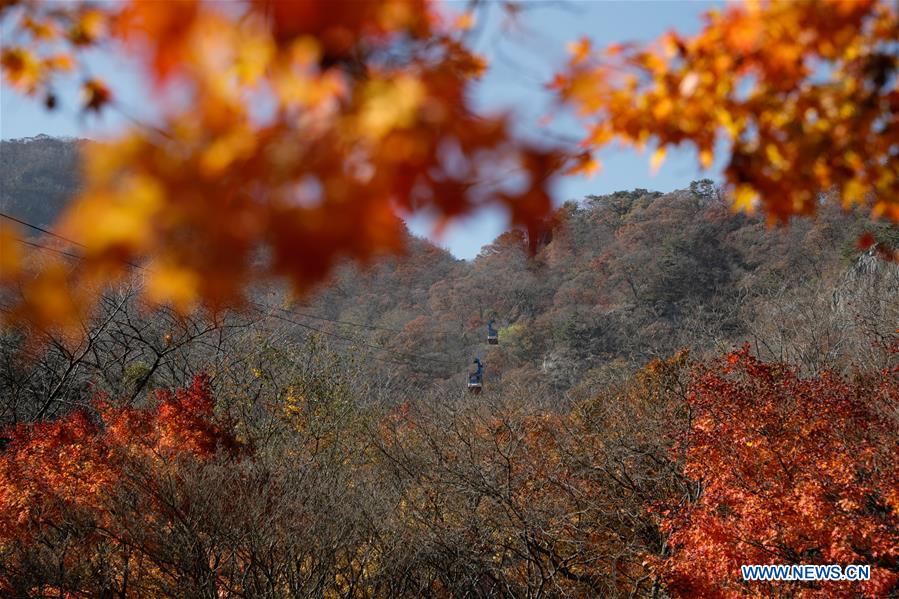 SOUTH KOREA-JEONGEUP-PARK-SCENERY