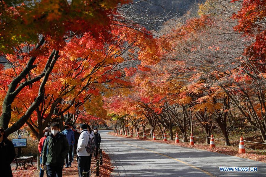 SOUTH KOREA-JEONGEUP-PARK-SCENERY