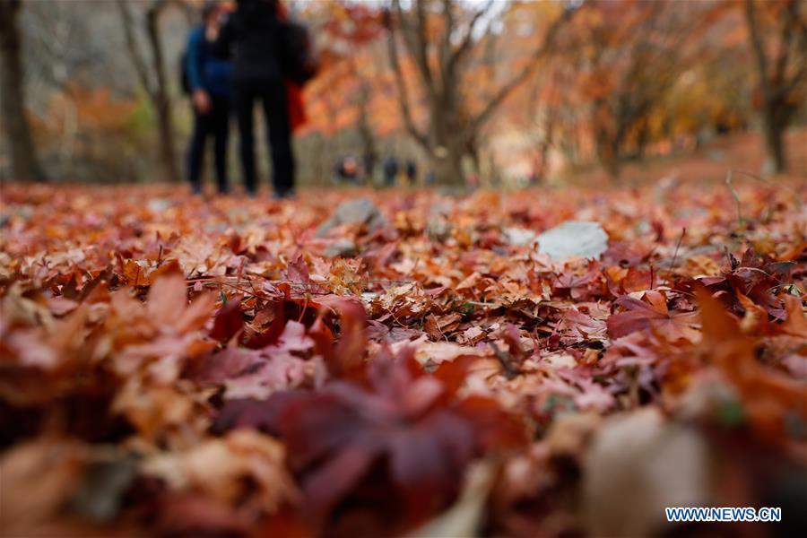 SOUTH KOREA-JEONGEUP-PARK-SCENERY