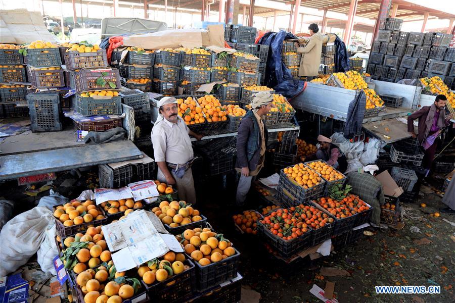 YEMEN-SANAA-ORANGE-HARVEST SEASON