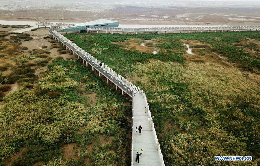 CHINA-FUJIAN-MINJIANG RIVER-ESTUARY WETLAND (CN) 