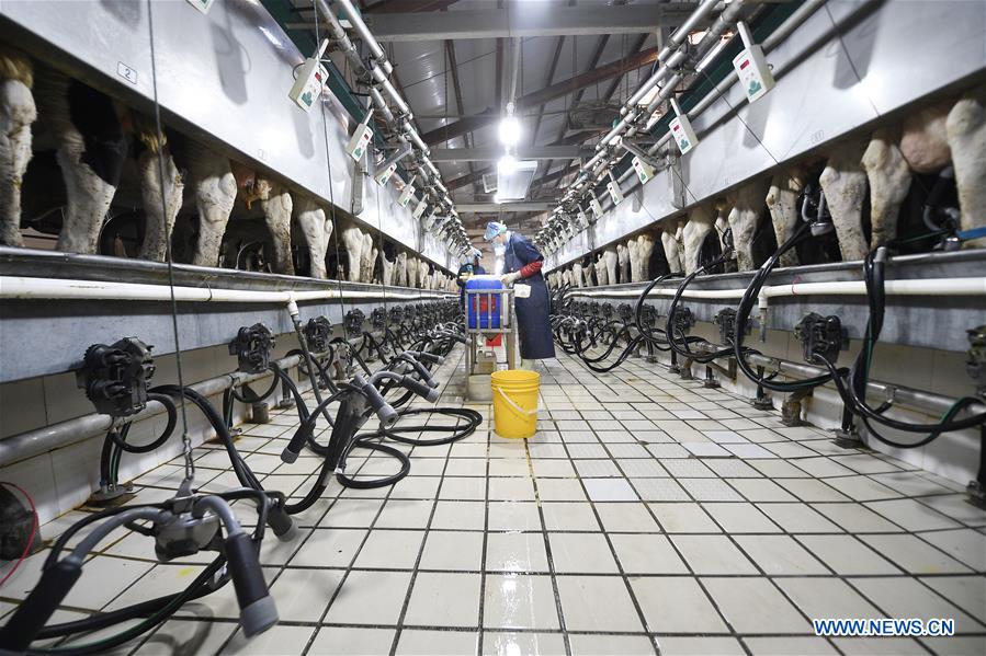 CHINA-NINGXIA-DAIRY PRODUCTION (CN)