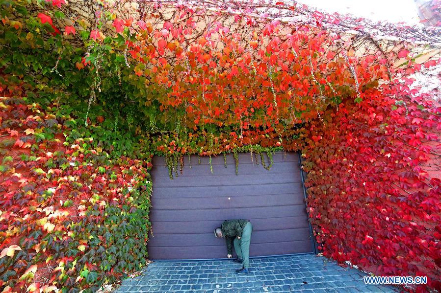 LEBANON-AUTUMN SCENERY