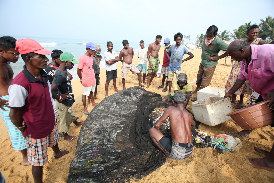 Asia Album: Sri Lanka's fishing industry amid COVID-19 worries - Xinhua