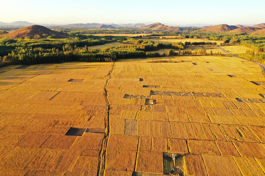 MOSTRANDO TUDO QUE VEIO NA ATUALIZAÇÃO DA VERSÃO 1.75 DO FARMING