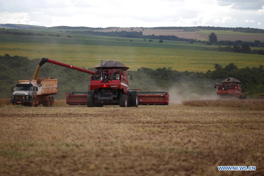 Harvesters Collect Soybeans In Fields On Outskirts Of Brasilia, Brazil ...