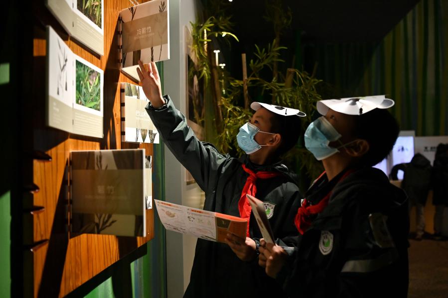 Interactive panda museum opens in China\