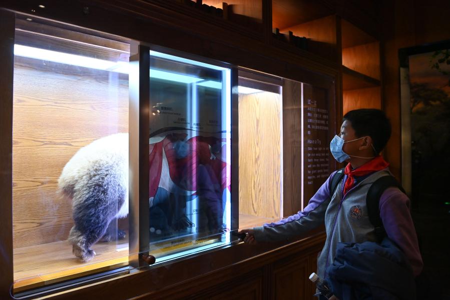 Interactive panda museum opens in China\