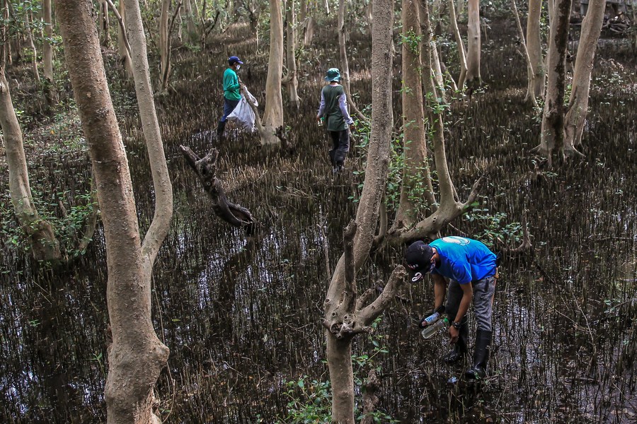 Park branches 2025 in the philippines