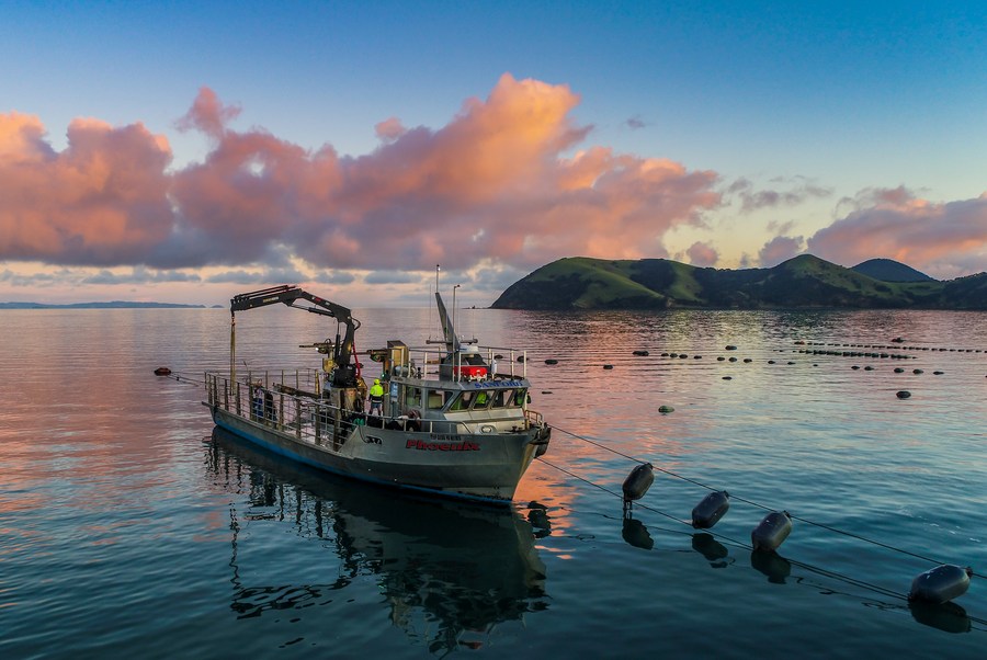 One of the oldest commercial fishing vessels in New Zealand! 