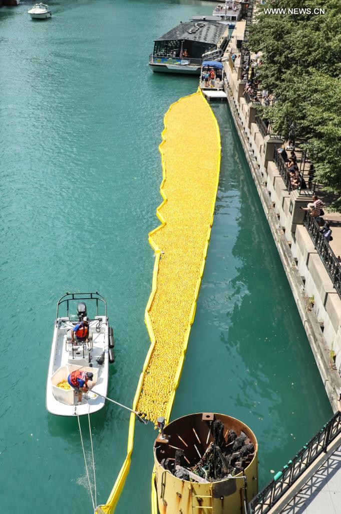 Rubber ducks dumped into Chicago River to raise funds for Special