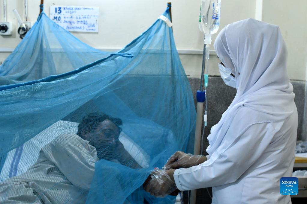 pakistan"s punjab reports 223 new dengue fever cases, outbreak