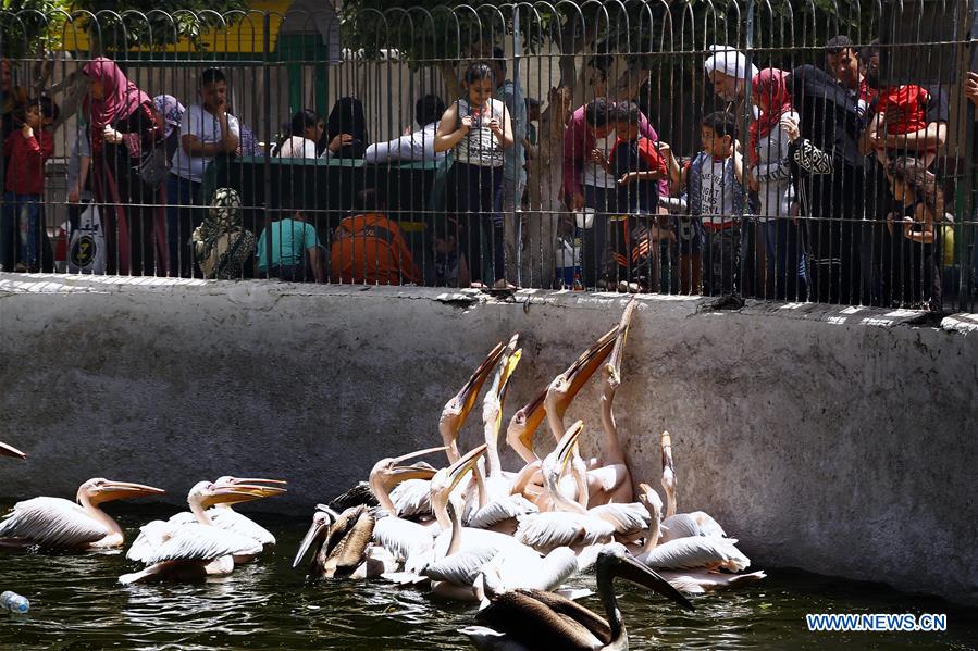 egyptians celebrate sham el-nessim in cairo