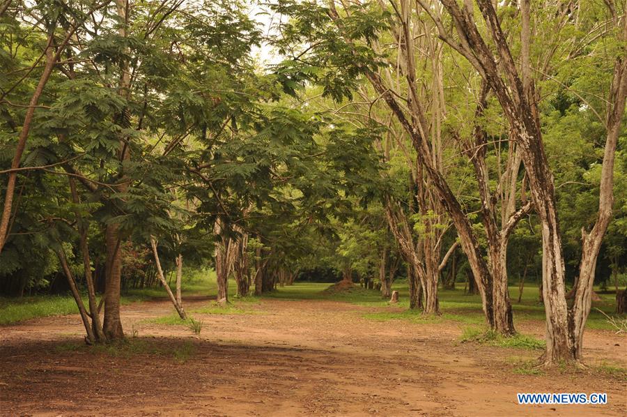 GHANA-ACCRA-LEGON BOTANICAL GARDEN