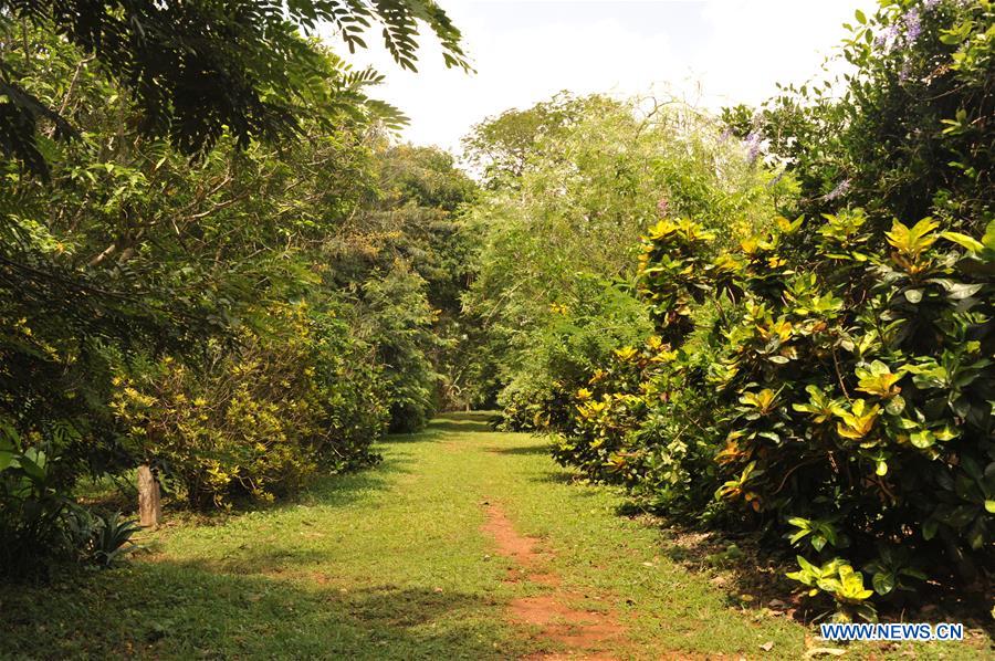 GHANA-ACCRA-LEGON BOTANICAL GARDEN