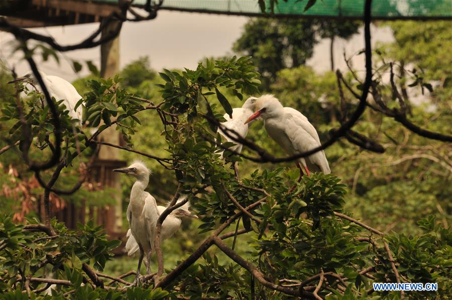 GHANA-ACCRA-LEGON BOTANICAL GARDEN