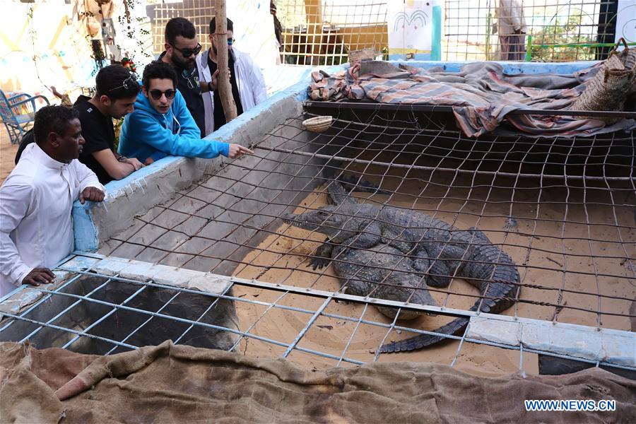 EGYPT-ASWAN-NUBIAN VILLAGE-TOURISM-CROCODILES