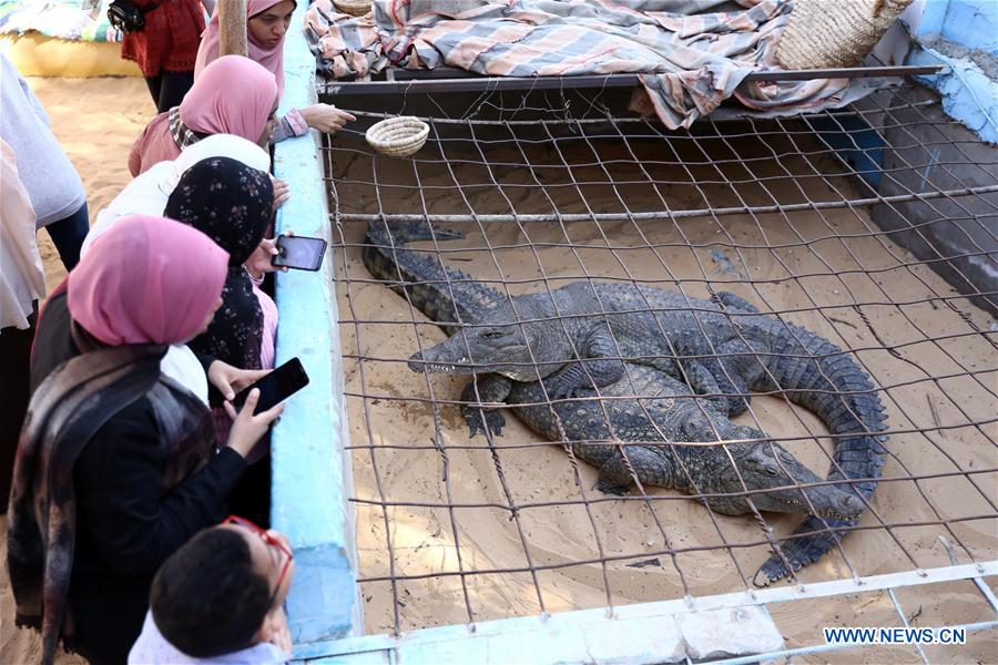 EGYPT-ASWAN-NUBIAN VILLAGE-TOURISM-CROCODILES