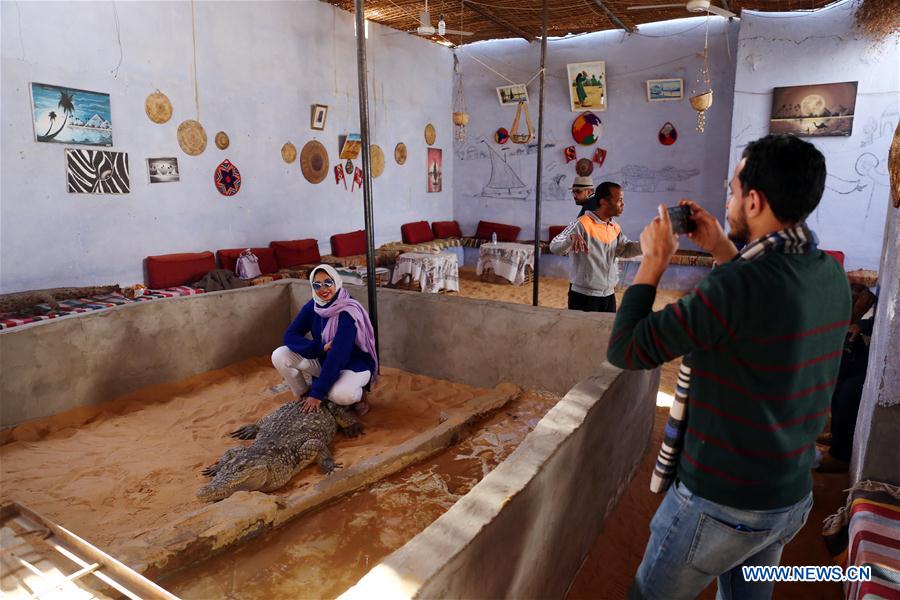 EGYPT-ASWAN-NUBIAN VILLAGE-TOURISM-CROCODILES