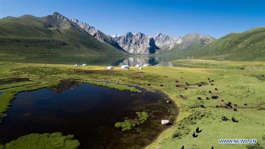 CHINA-QINGHAI-SANJIANGYUAN-VEGETATION COVERAGE-INCREASE (CN)