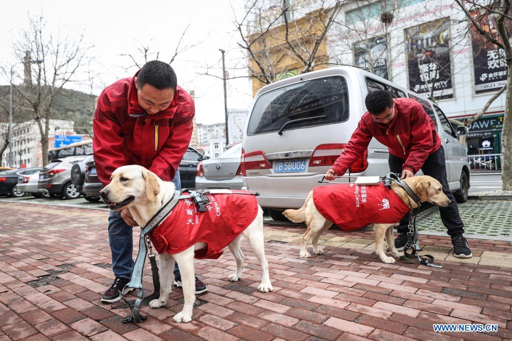 how long are leader dogs trained