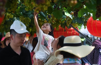 Village tourism popular in east China's Zhejiang