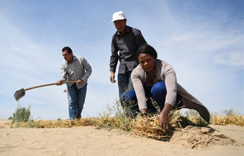 African students learn desertification combating technology in China