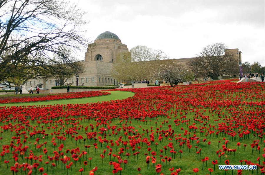 AUSTRALIA-CANBERRA-WWI-POPPIES