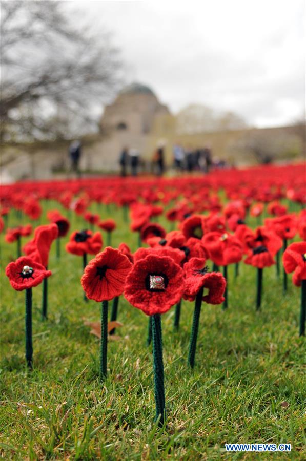 AUSTRALIA-CANBERRA-WWI-POPPIES