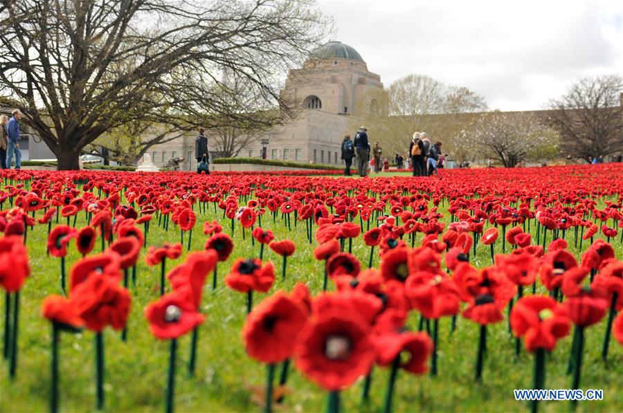 AUSTRALIA-CANBERRA-WWI-POPPIES