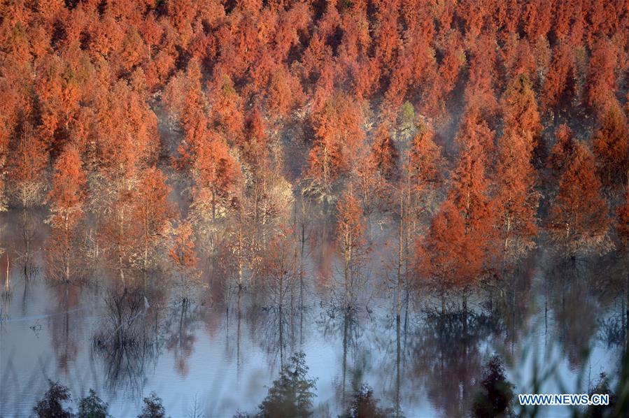 CHINA-YUNNAN-KUNMING-WETLAND (CN)