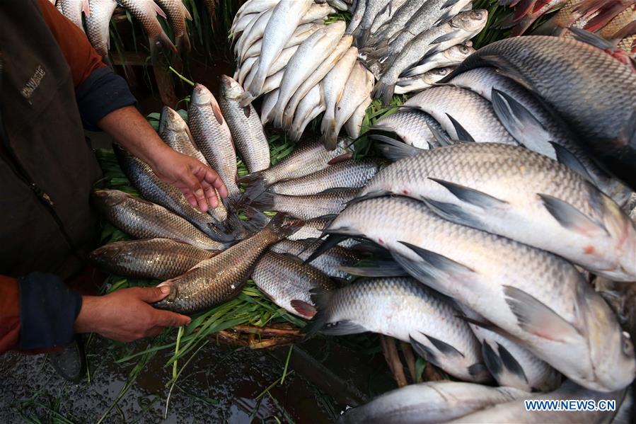 PAKISTAN-RAWALPINDI-FISH-MARKET