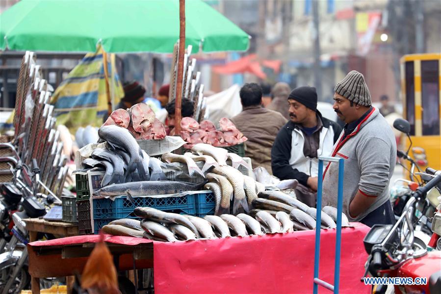 PAKISTAN-RAWALPINDI-FISH-MARKET