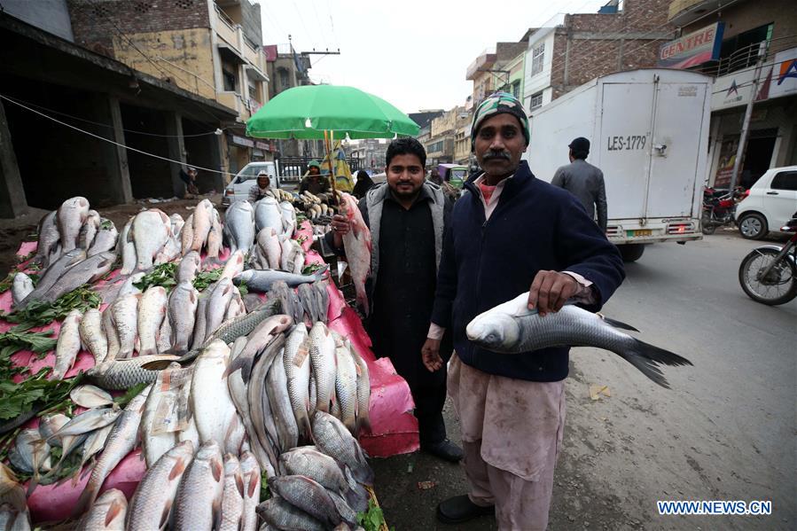 PAKISTAN-RAWALPINDI-FISH-MARKET