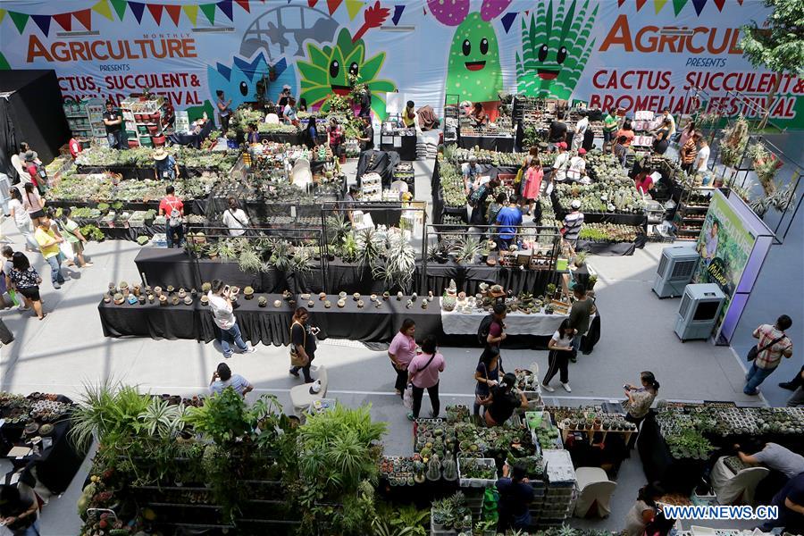 PHILIPPINES-PASAY-CACTUS-SUCCULENT-BROMELIAD-FESTIVAL