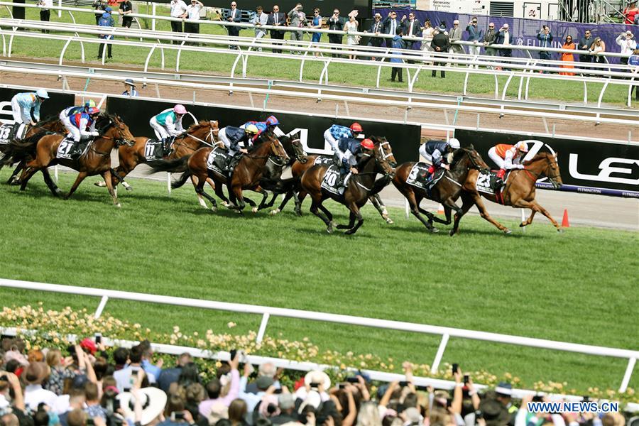 highlights of melbourne cup day