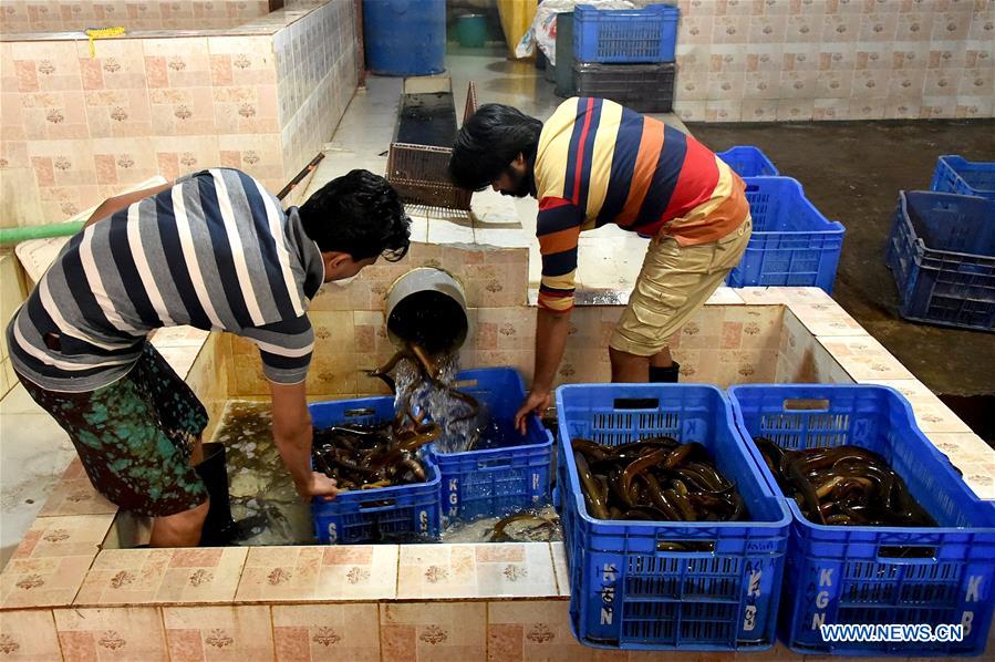 BANGLADESH-DHAKA-EEL-FISH