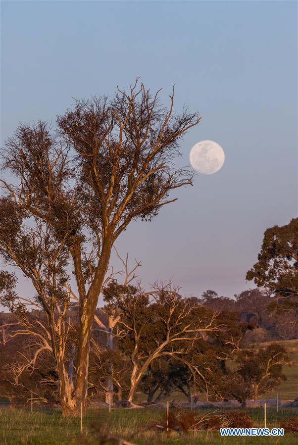 AUSTRALIA-CANBERRA-FULL MOON