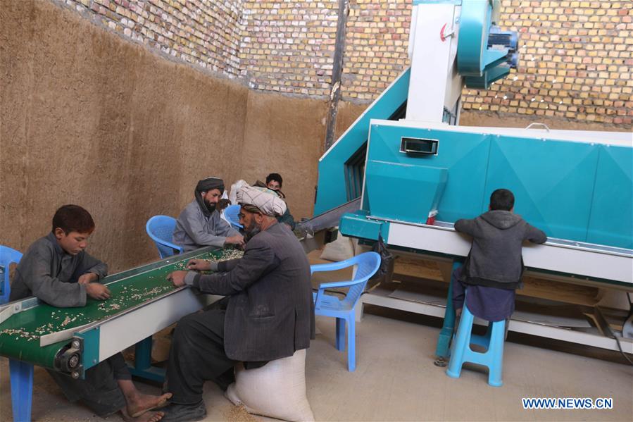 AFGHANISTAN-BADGHIS-PISTACHIO-FACTORY