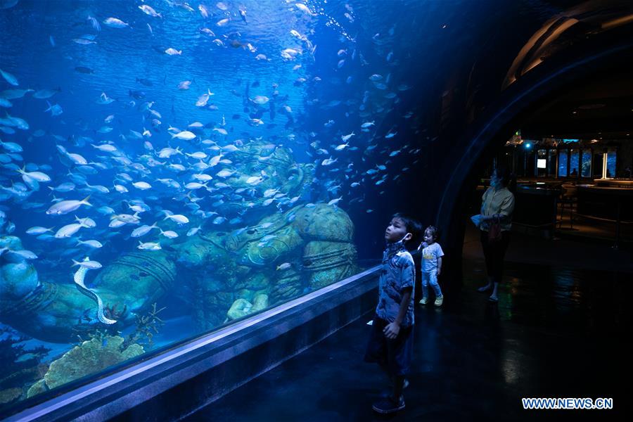 THAILAND-PHUKET-AQUARIUM