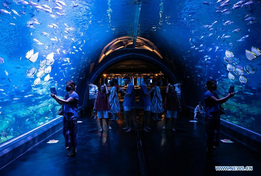 THAILAND-PHUKET-AQUARIUM