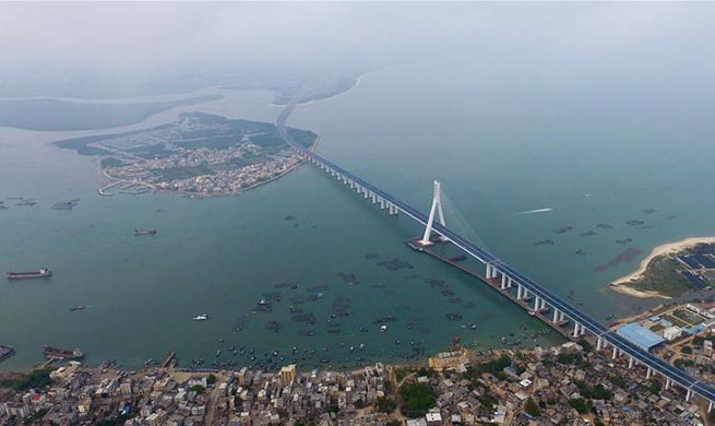 Cross-sea Haiwen Bridge officially starts operation in S China's Hainan