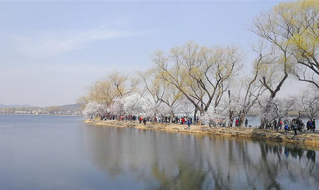 In pics: spring scenery in Beijing