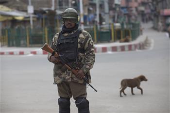 Paramilitary troopers stand guard during security lockdown in Indian-controlled Kashmir