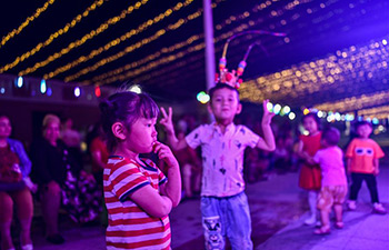 In pics: night fair in NE China's Xinjiang