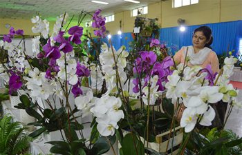 Orchid Show held in Bangalore, India