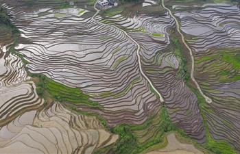 Aerial view of terraced fields in Gongxian, Sichuan