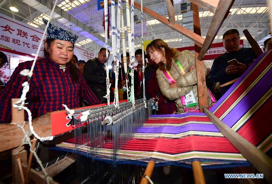 25th China Yangling Agricultural Hi-Tech Fair Held In Shaanxi - Xinhua ...